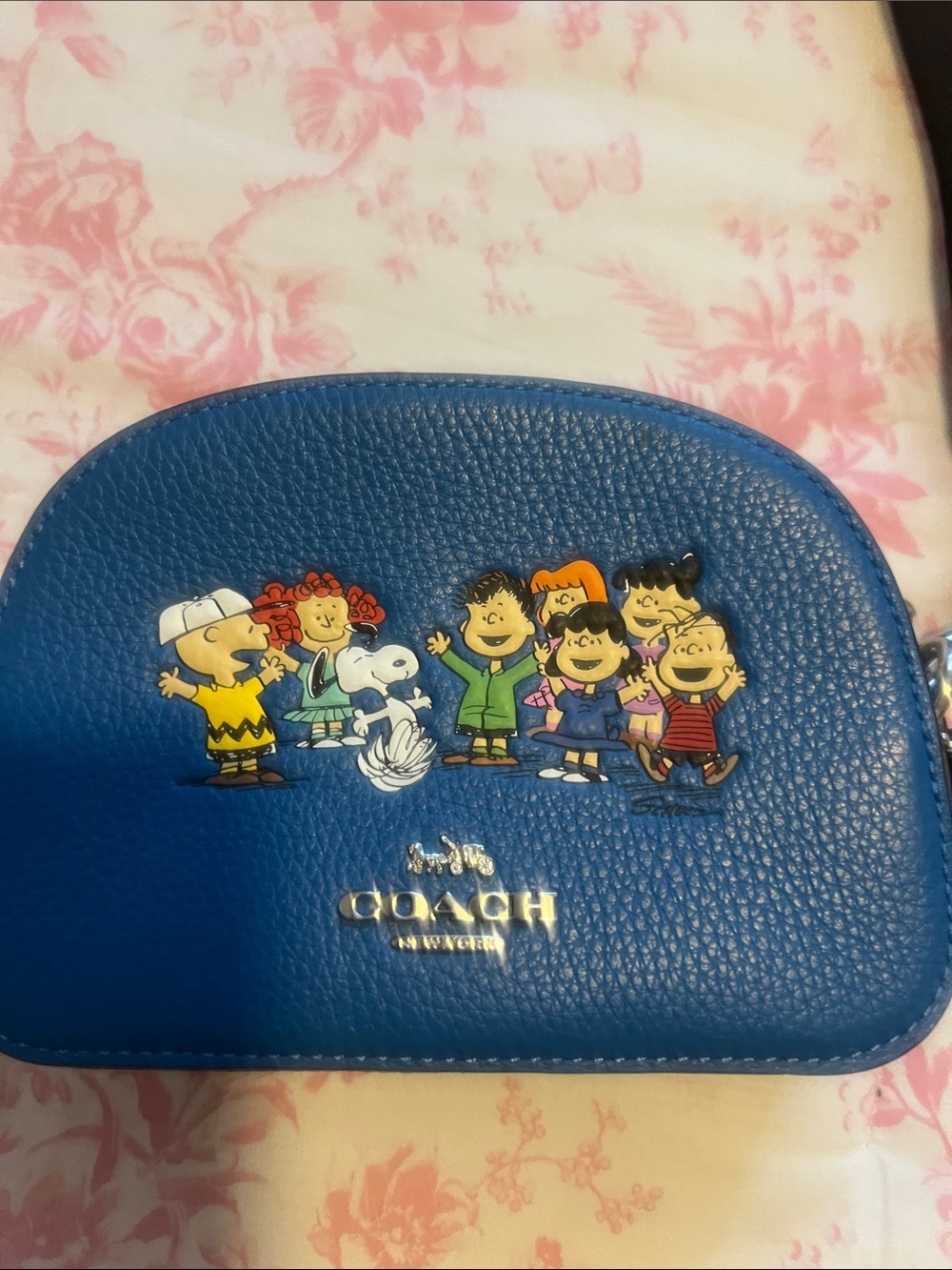 Charlie Brown and the Gang coach bag